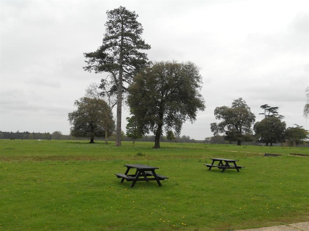 مبيت وإفطار ساوثوولد The Stables At Henham Park المظهر الخارجي الصورة