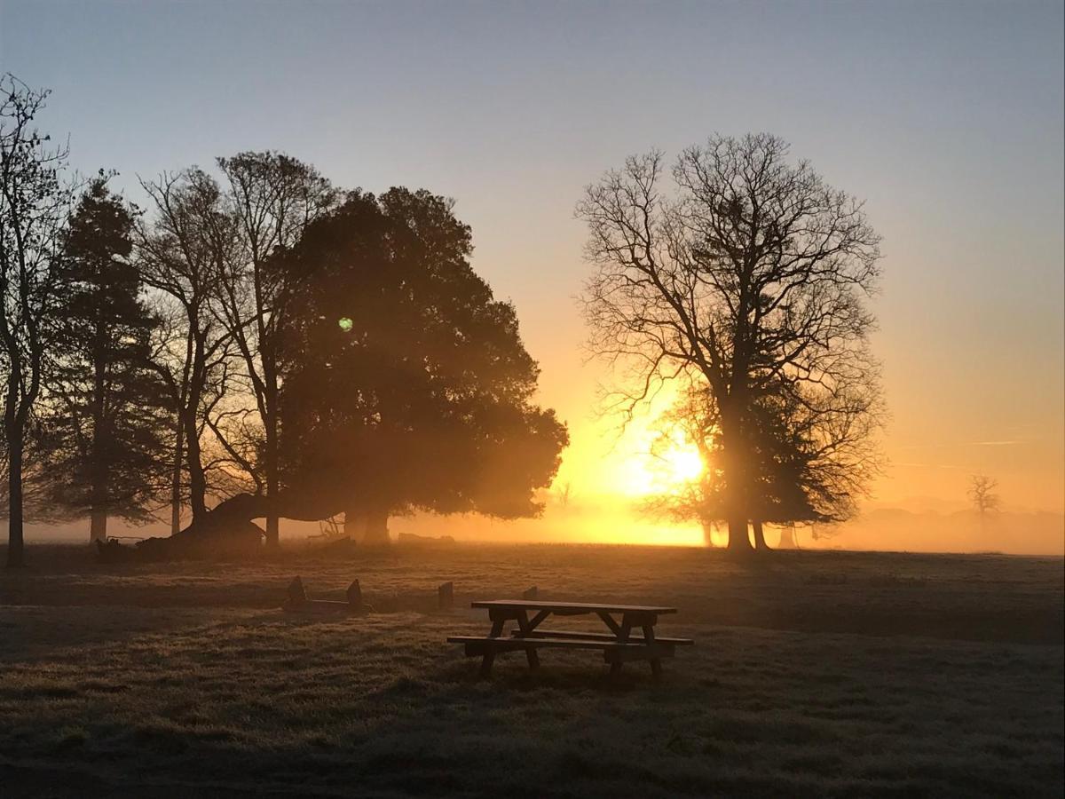 مبيت وإفطار ساوثوولد The Stables At Henham Park المظهر الخارجي الصورة