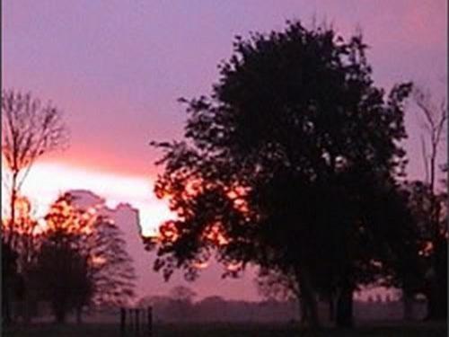 مبيت وإفطار ساوثوولد The Stables At Henham Park المظهر الخارجي الصورة